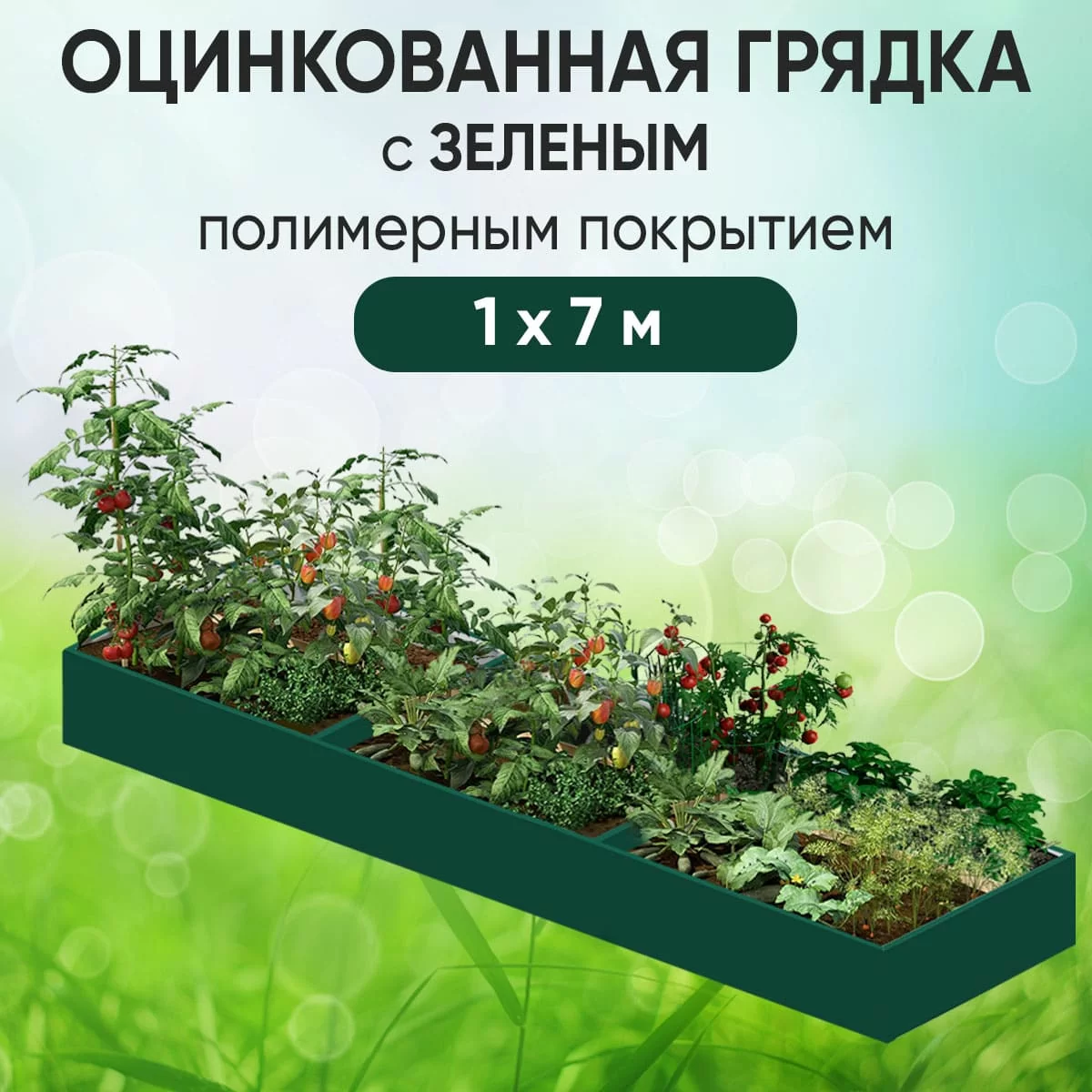 Грядка зеленая (1 х 7)